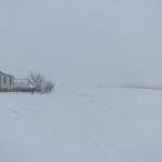 IMG_9193
