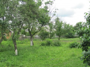 IMG_1810