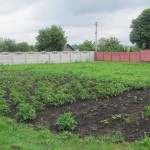 IMG_1846
