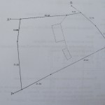 IMG_2535