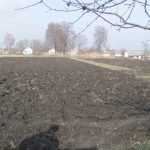 IMG_0893