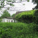IMG_8359