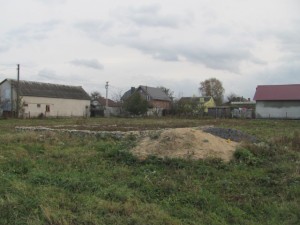 IMG_9886