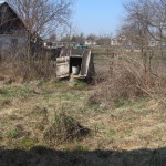 IMG_0443