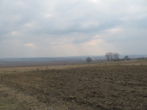 IMG_0428