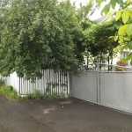 DSCF1304