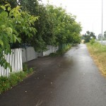 DSCF1308