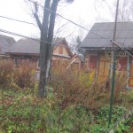 IMG_1460