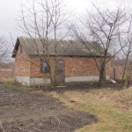 IMG_1811