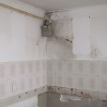 IMG_1919