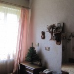IMG_3007